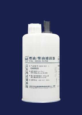 Elemento filtrante industriale di FS36209 ES00025 93x202mm M20x1.5